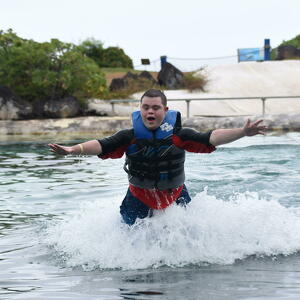 Nick's Party Dolphins